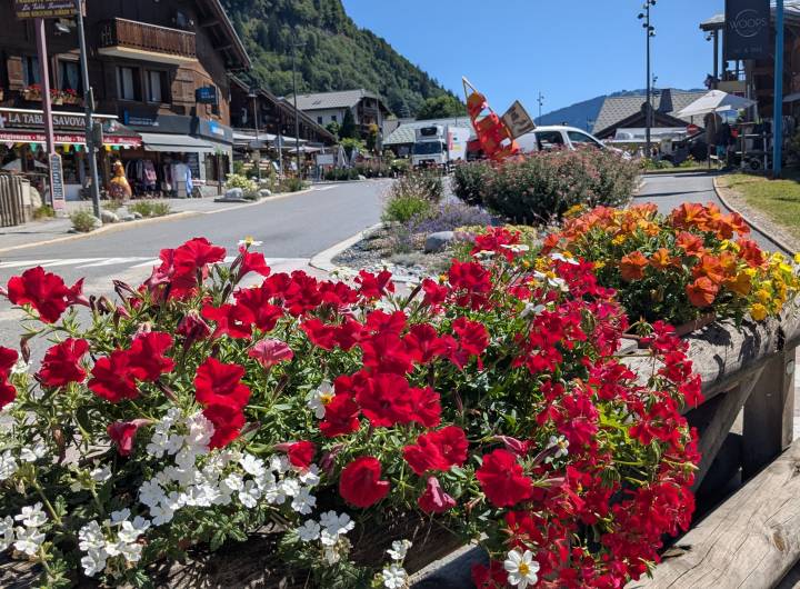 Fleurissement et entretien des espaces verts de Praz - Marie-Anaïs Lien