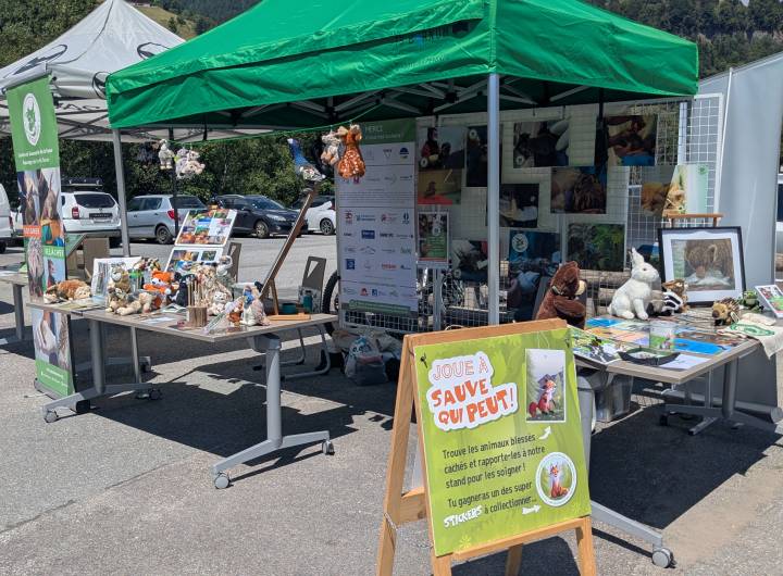 Journée &quot;Les équilibres de la montagne à Praz-sur-Arly&quot; du 16/07/2025 - Marie-Anaïs Lien
