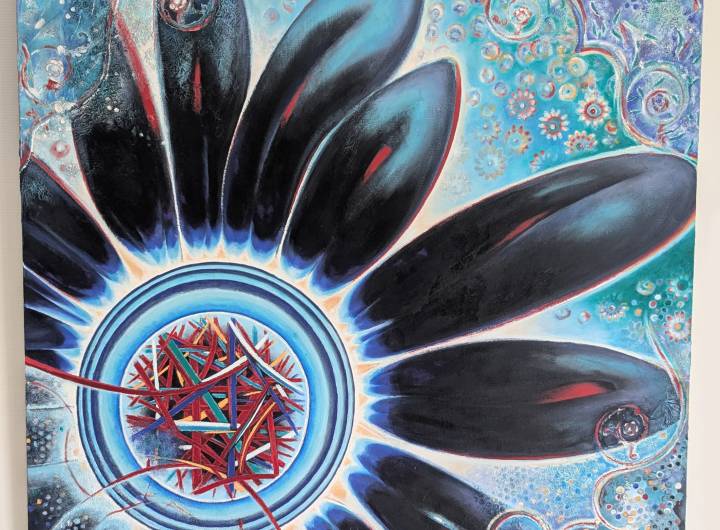 Journée &quot;Les équilibres de la montagne à Praz-sur-Arly&quot; du 16/07/2025 - Marie-Anaïs Lien