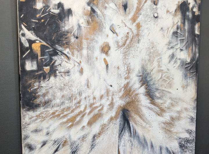 Journée &quot;Les équilibres de la montagne à Praz-sur-Arly&quot; du 16/07/2025 - Marie-Anaïs Lien