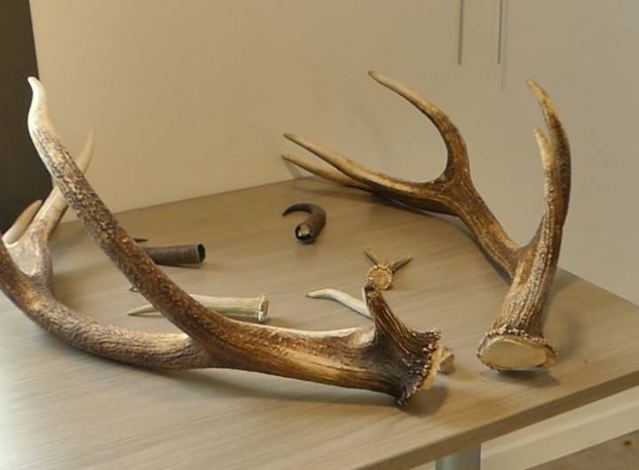 Journée &quot;Les équilibres de la montagne à Praz-sur-Arly&quot; du 16/07/2025 - Boussad Rabahi