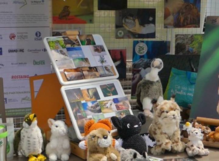 Journée &quot;Les équilibres de la montagne à Praz-sur-Arly&quot; du 16/07/2025 - Boussad Rabahi