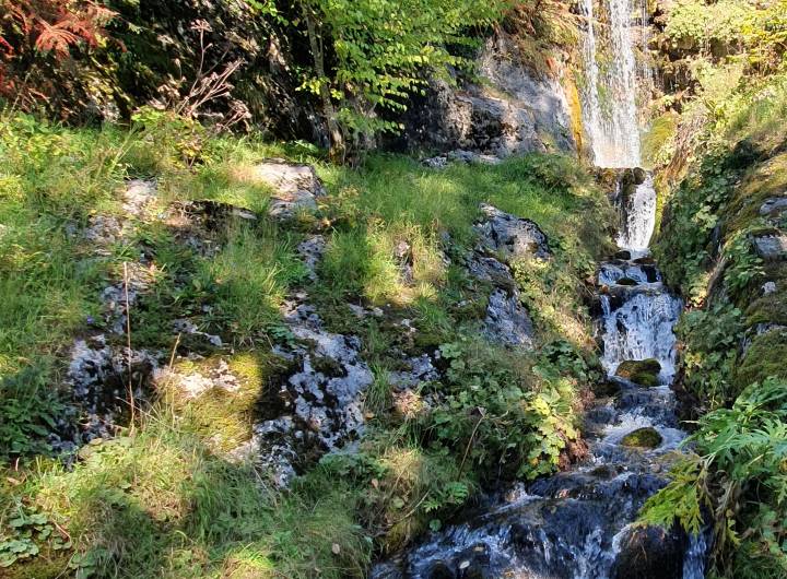 En septembre, le jardin botanique alpin de La Jaÿsinia de Samoëns a dévoilé quelques-uns de ses secrets aux membres de BVEP. - Maryse Briffaz