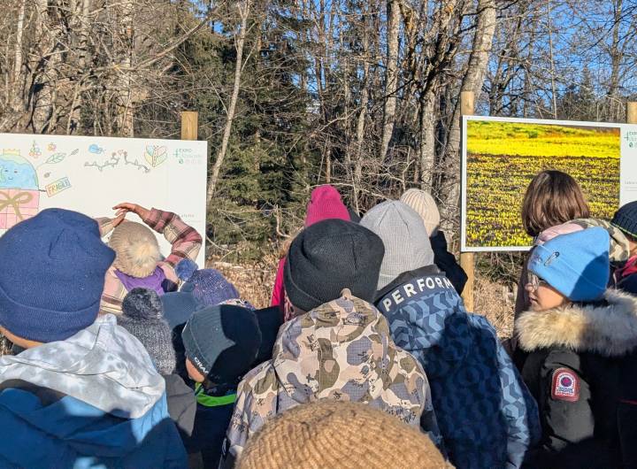 Œuvre des enfants et photo de David Carpano sur la terre - Marie-Anaïs Lien