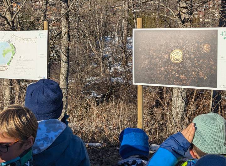 Œuvre des enfants et photo de David Carpano sur la terre - Marie-Anaïs Lien