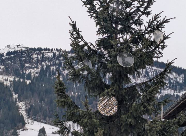 Le sapin de Noël de 2025 sous un ciel blanc - Marie-Anaïs Lien