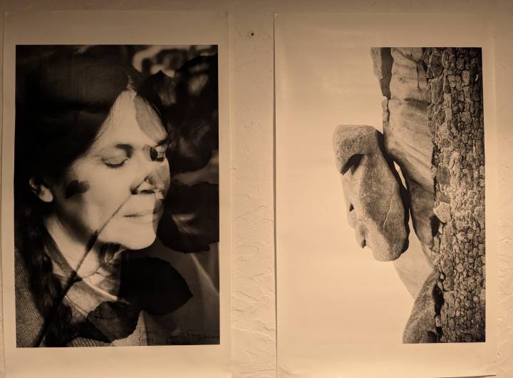 Expos "Les Éterlous dans les pas de leurs anciens" + "Les îlots veilleurs" de Margaux Meurisse et des élèves de Praz de février 2026 - Marie-Anaïs Lien