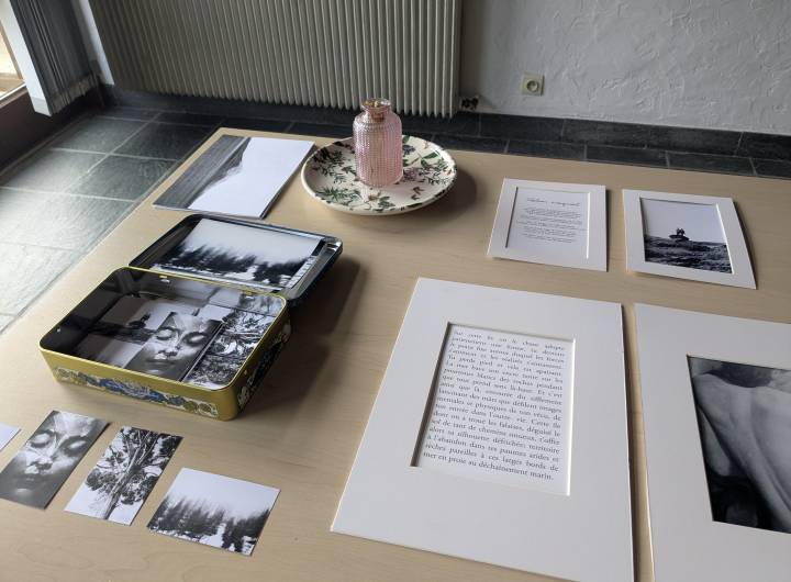 Expos "Les Éterlous dans les pas de leurs anciens" + "Les îlots veilleurs" de Margaux Meurisse et des élèves de Praz de février 2026 - Marie-Anaïs Lien