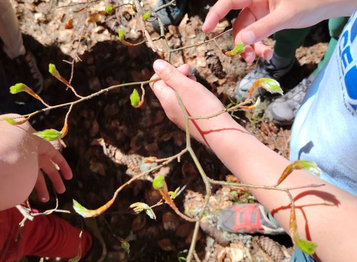 Journée "Exploration montagnarde" de la CCPMB et du CNM avec les CE1, CM1 et CM2 de l'école des Éterlous le 23/04/2026 - Françoise Perrin