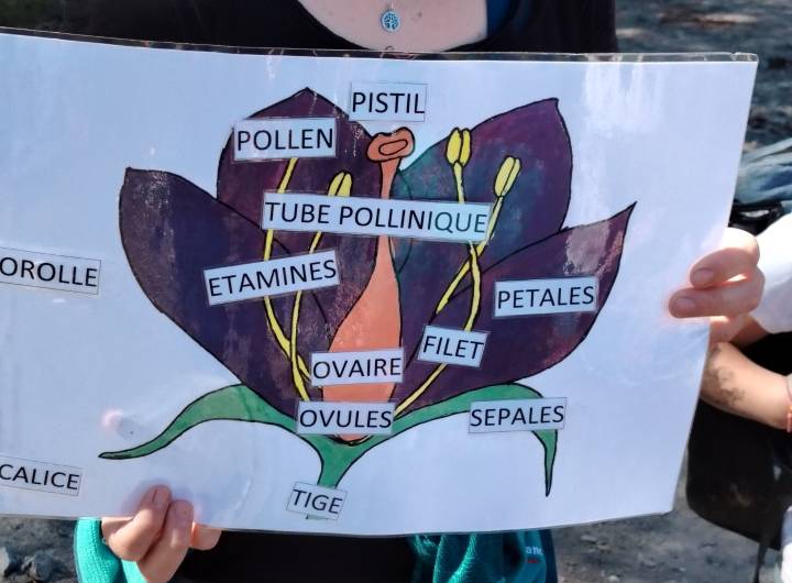 Journée "Exploration montagnarde" de la CCPMB et du CNM avec les CE1, CM1 et CM2 de l'école des Éterlous le 23/04/2026 - Françoise Perrin