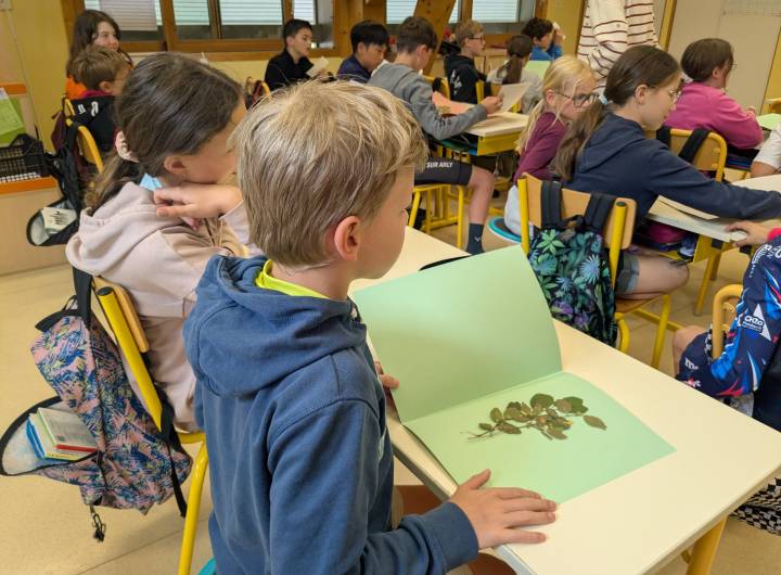 Création d'un herbier par les élèves de CM1 et CM2 avec la présidente d'Arlyca Montana, Émilie Allard - Marie-Anaïs Lien