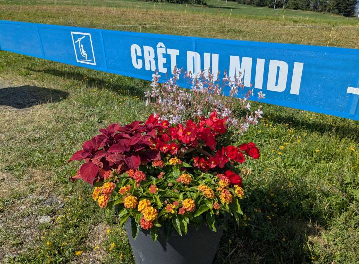 Concours des Maisons Fleuries : remise des prix du 19/09/2026 - Marie-Anaïs Lien