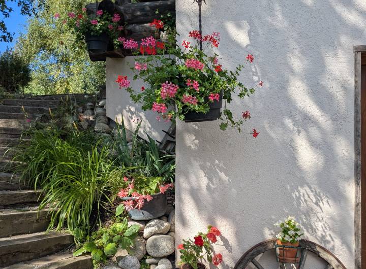 Concours des Maisons Fleuries : remise des prix du 19/09/2026 - Marie-Anaïs Lien