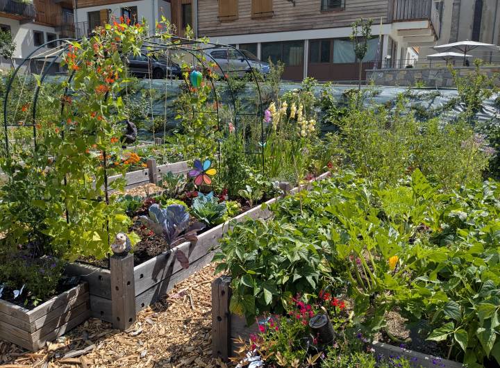 Concours des Maisons Fleuries : remise des prix du 19/09/2026 - Marie-Anaïs Lien