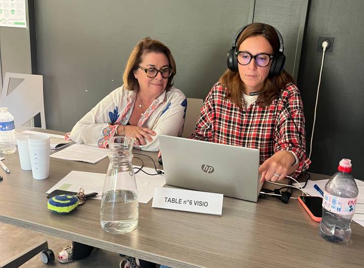 Ateliers participatifs du 26/09/2026 sur la révision du projet des Varins - Julie Maraux