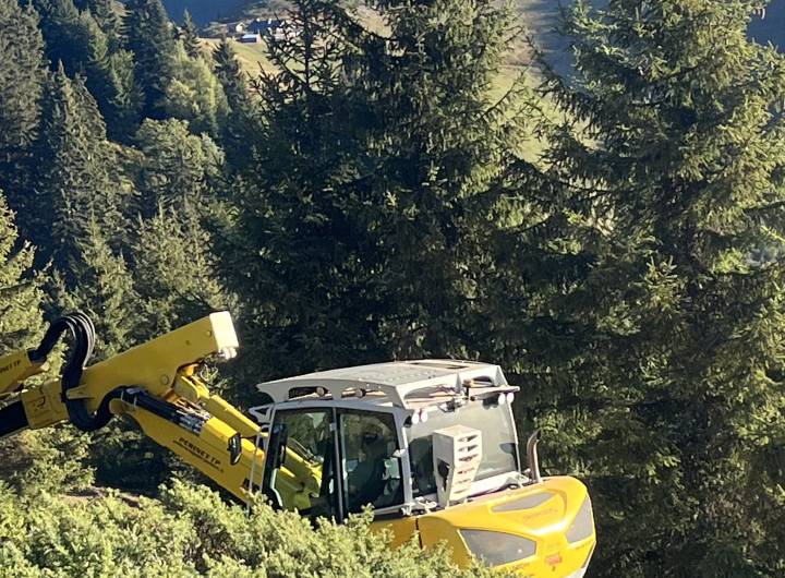 Opération de débroussaillage pour réhabiliter le tétras-lyre - Arnaud Fontanges
