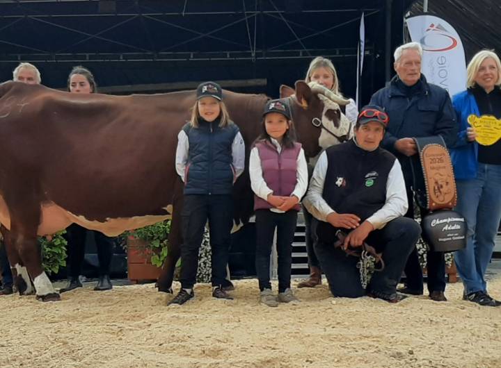 Comice Agricole du 11/10/2026 - Association du Concours de la Race Abondance de Megève, , Combloux, Demi-Quartier et Praz-sur-Arly