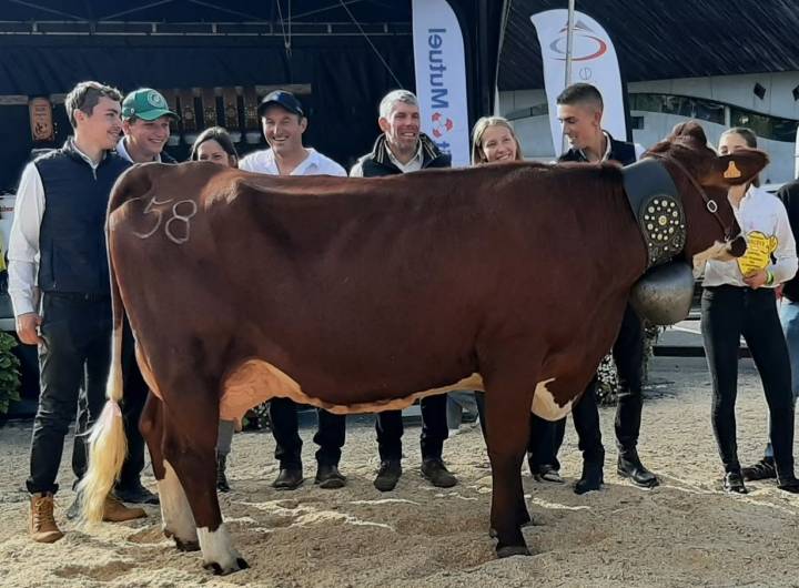 Comice Agricole du 11/10/2026 - Association du Concours de la Race Abondance de Megève, , Combloux, Demi-Quartier et Praz-sur-Arly
