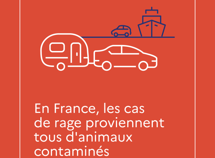 Campagne de prévention contre la rage : carrousel 4