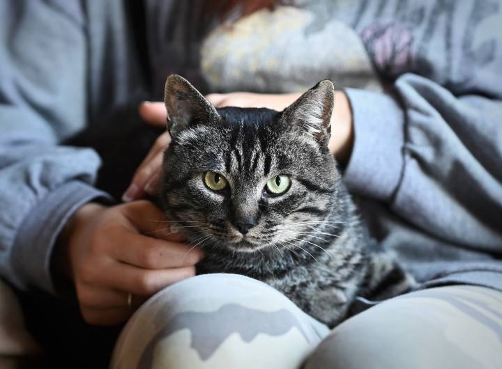 Association Les Mal-Barrés - Laura Peticca