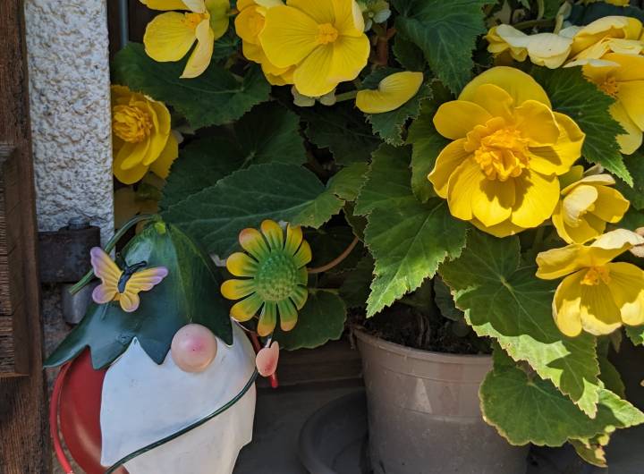 Concours des maisons fleuries 2024 : catégorie &quot;Rez-de-jardin&quot; - Marie-Anaïs Lien