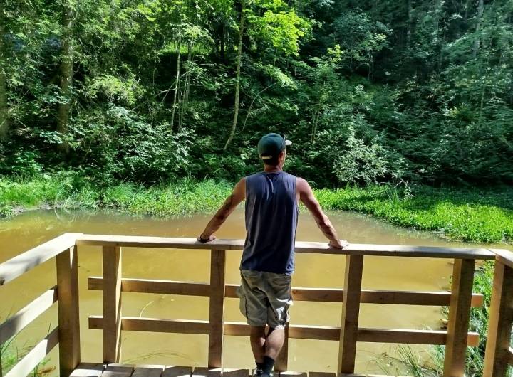 Plateforme créée à la gouille noire pour observer sans gêner la nature - Pierre Bessy