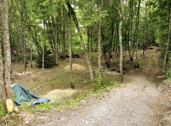 Secteur débroussaillé juste avant l'installation des modules
