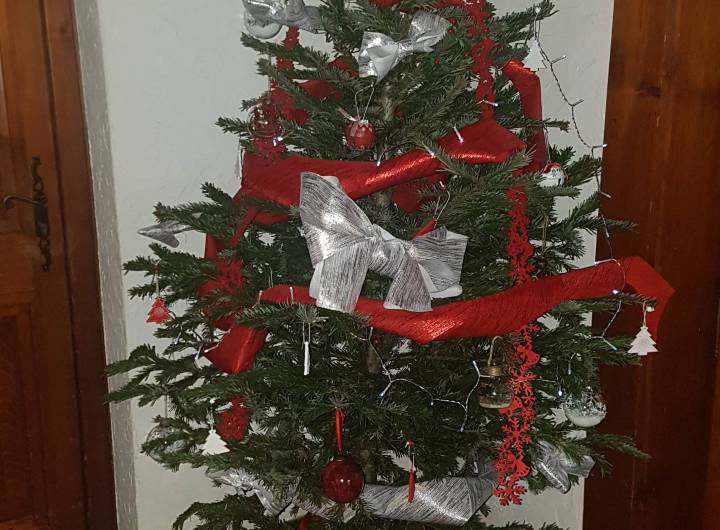 Sapin de Noël ornant le hall de la mairie en 2020-2021