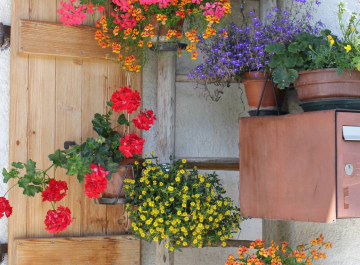 Concours des maisons fleuries 2023 : catégorie &quot;Ferme&quot; - Solange Cooke