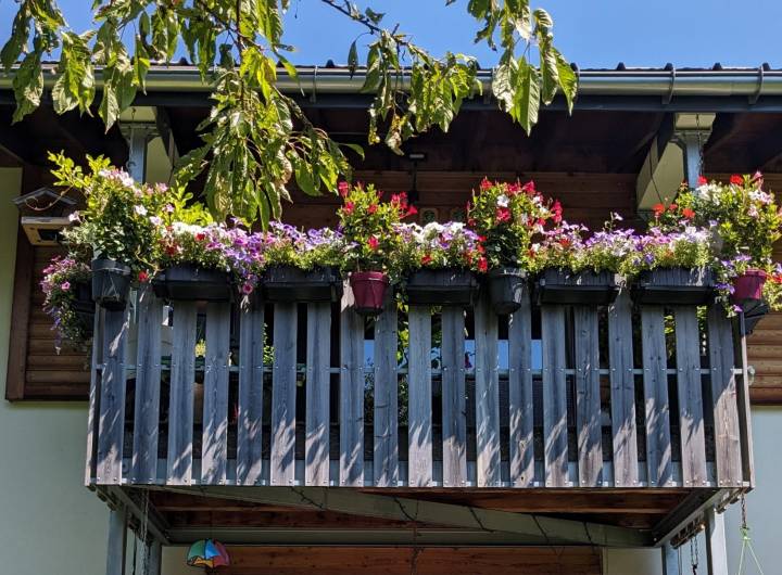 Concours des maisons fleuries 2024, catégorie « Balcons » © Marie-Anaïs Lien