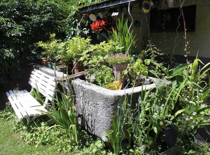 Concours des maisons fleuries 2023 : catégorie &quot;Hôtel, camping et centre de vacances&quot; - Solange Cooke