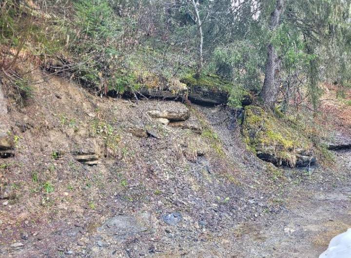 Reprise d'une portion de la piste forestière menant à la parcelle n°8 - Bertrand Delamarche