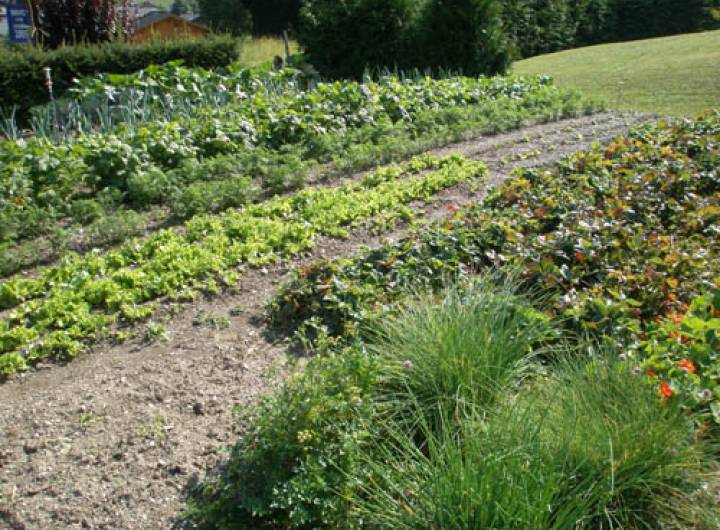 Concours des maisons fleuries de 2009 : Nadine Dubreuil - Anthony Chambet ou Sylvie Bessy