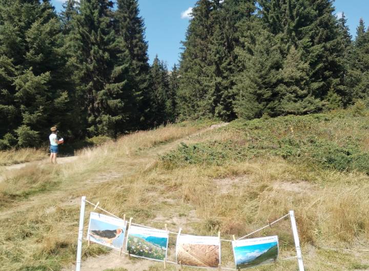 Sensibilisation dans les alpages par les médiateurs de la CCPMB durant l'été 2023 - CCPMB