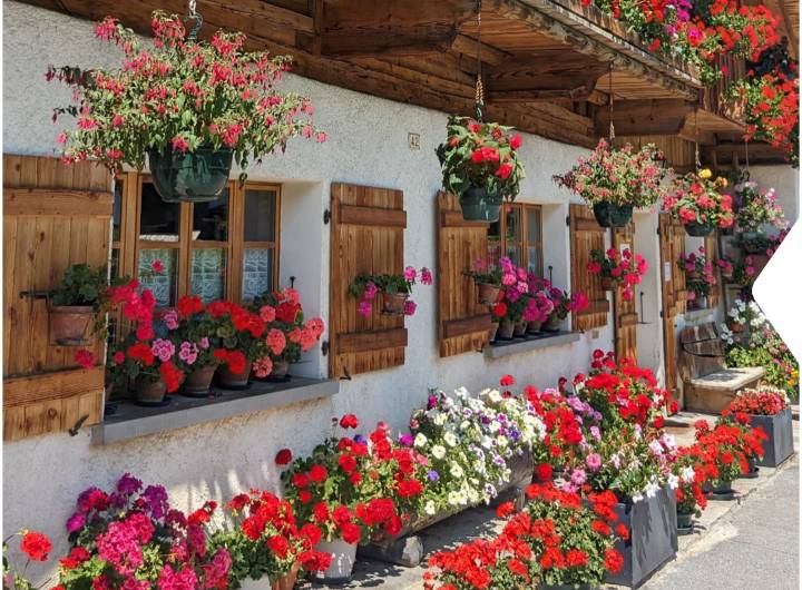 Concours des maisons fleuries 2024, catégorie « Fermes »