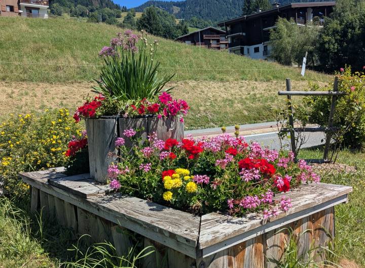 Praz, un village joliment fleuri aux entrées, dans le centre et aux alentours - Marie-Anaïs Lien