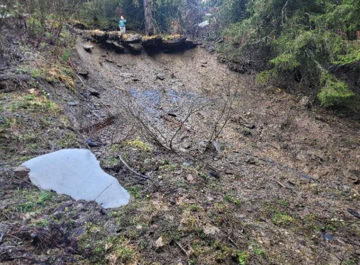 Reprise d'une portion de la piste forestière menant à la parcelle n°8 - Bertrand Delamarche
