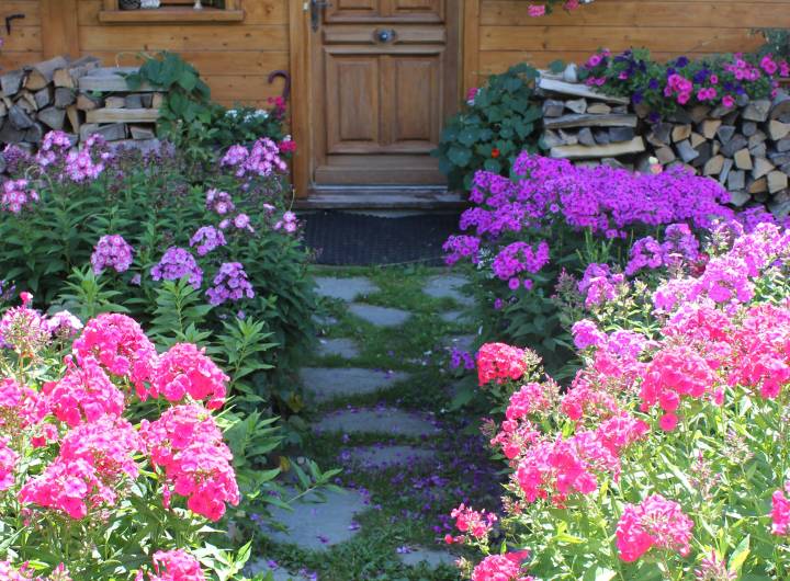 Concours des maisons fleuries 2023 : catégorie &quot;Chalet avec potager&quot; - Solange Cooke