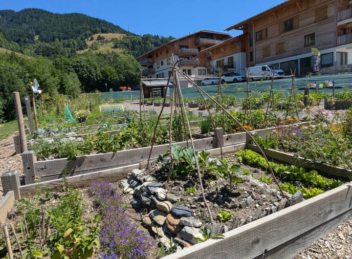 Merci à l'association des Jardins de Pratz pour entretenir ces beaux jardins partagés - Marie-Anaïs Lien