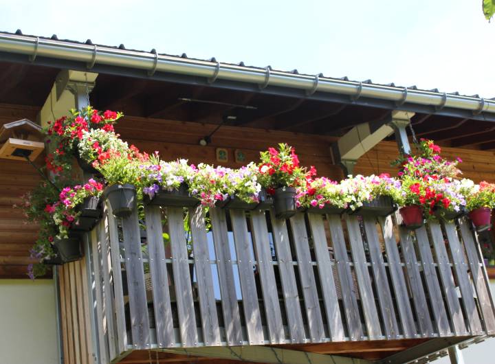 Concours des maisons fleuries 2023 : catégorie &quot;Balcon&quot; - Solange Cooke