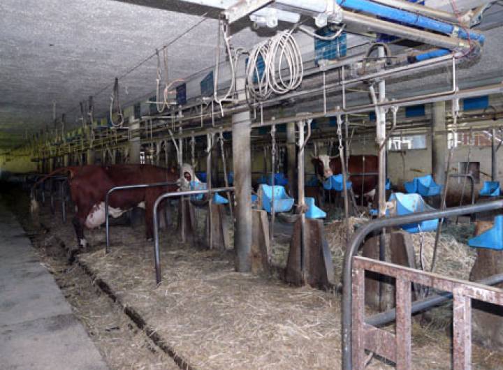 Les communes de PsA et Roscoff ont officialisé leur jumelage et découvert des centres d'intérêt locaux du 29 avril au 1er mai 2011.