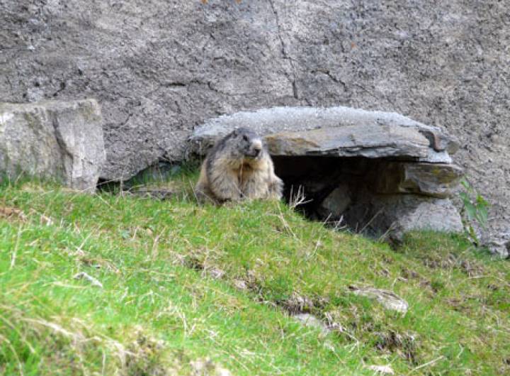 Les communes de PsA et Roscoff ont officialisé leur jumelage et découvert des centres d'intérêt locaux du 29 avril au 1er mai 2011.