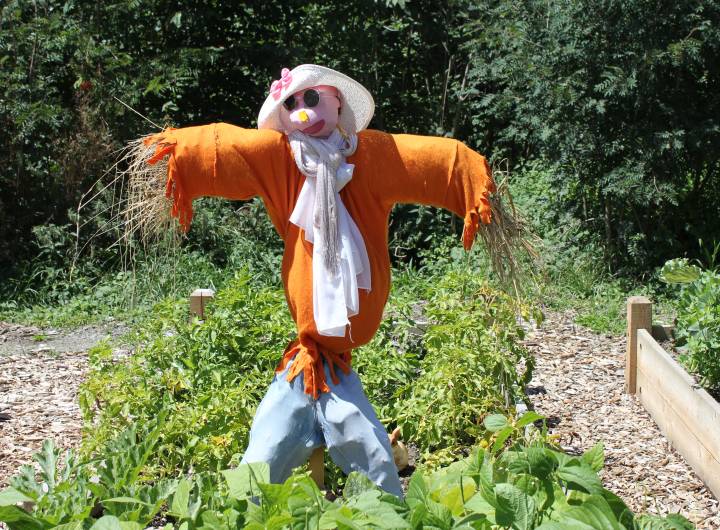 Concours des maisons fleuries 2023 : catégorie &quot;Jardins partagés&quot; - Solange Cooke