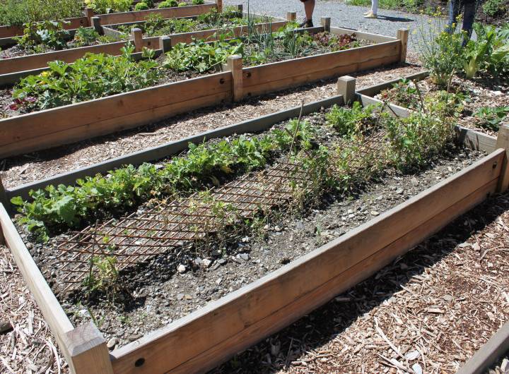 Concours des maisons fleuries 2023 : catégorie &quot;Jardins partagés&quot; - Solange Cooke