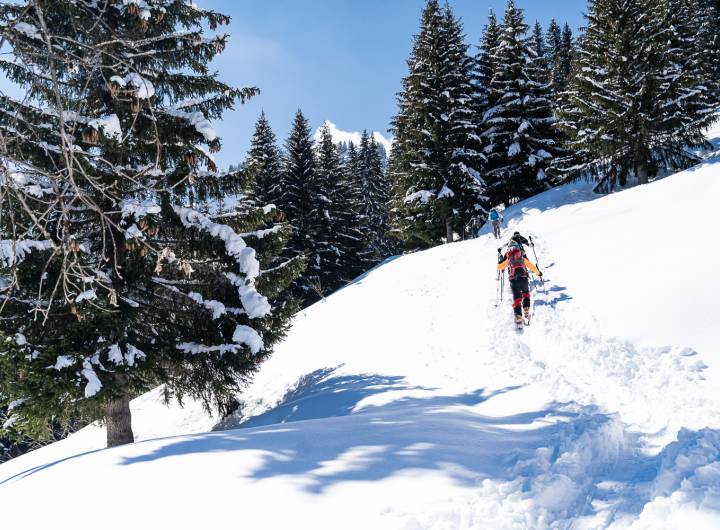 Ski de randonnée à Praz