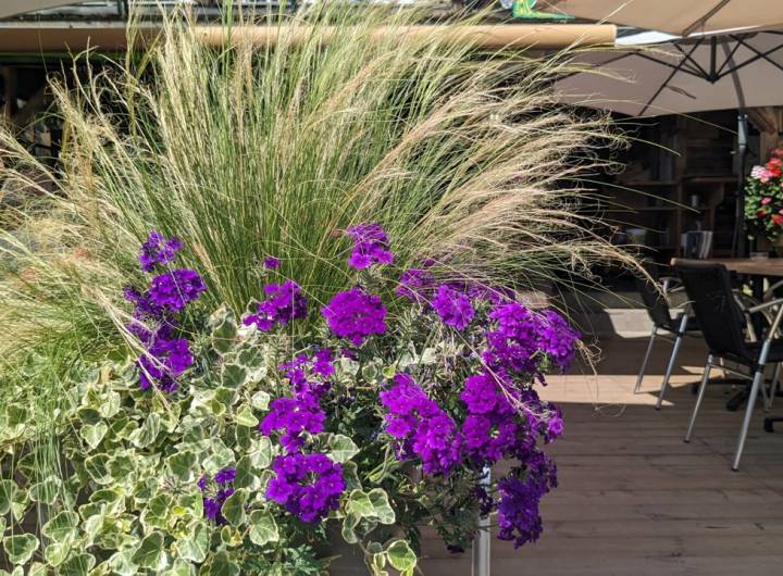 Concours des maisons fleuries 2024, catégorie « Restaurants/Autres commerces »