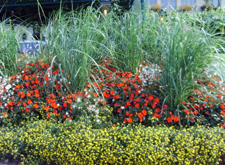 Sortie des Anciens à Yvoire le 14 septembre 2010