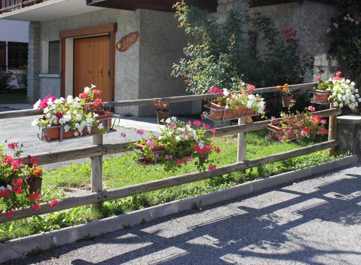 Concours des maisons fleuries 2023 : catégorie &quot;Restaurant et autre commerce&quot; - Solange Cooke