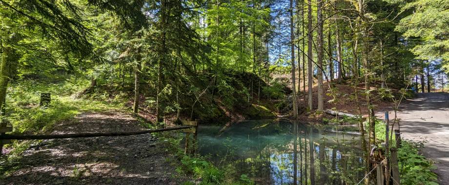 Zone humide de Coudet photographiée le 24/05/2024 - Marie-Anaïs Lien