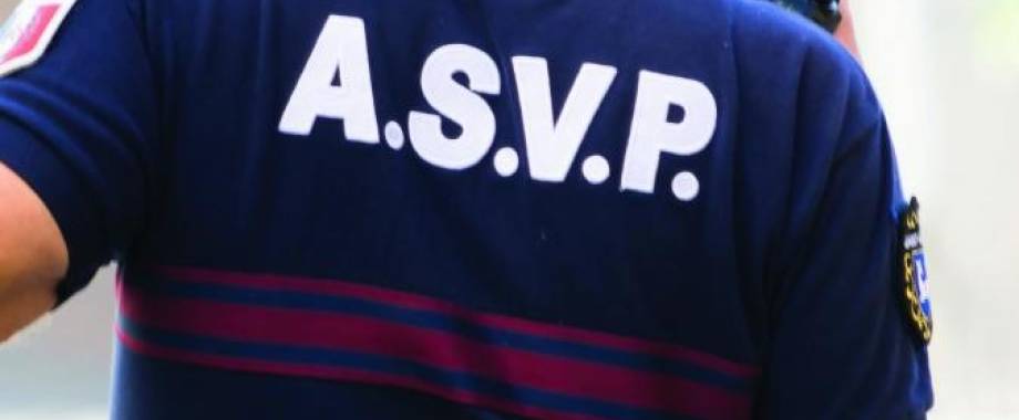 Agent de surveillance de la voie publique (ASVP)